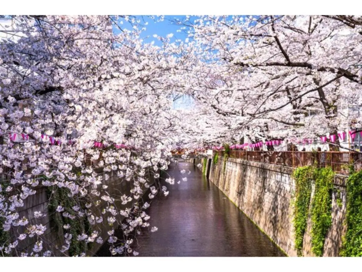 **  Act Hotel Shibuya - Vacation Stay 84224 Tokyo Japan